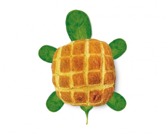 turtle ready made duchamp visual similarity bread